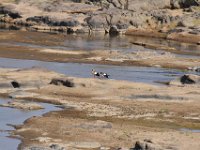 Marion, Romane South Africa 2014 (41 of 63) : KNP Olifants area, Marion visit